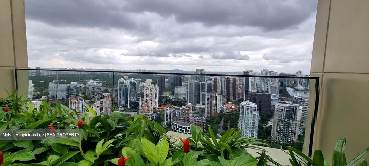 Irwell Hill Residences (D9), Apartment #563309901